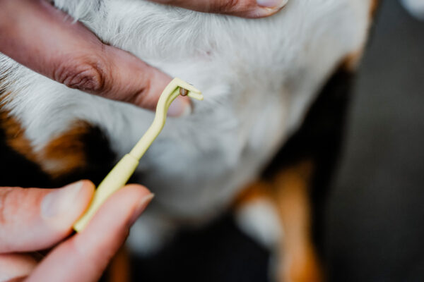 Tekenhaak Set (2 stuks)