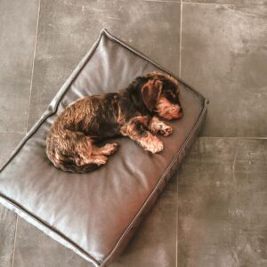 Orthopedisch Hondenkussen Taupe