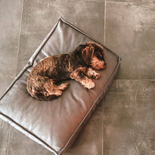 Orthopedisch Hondenkussen Taupe