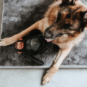 Orthopedische Hondenmat Tirano