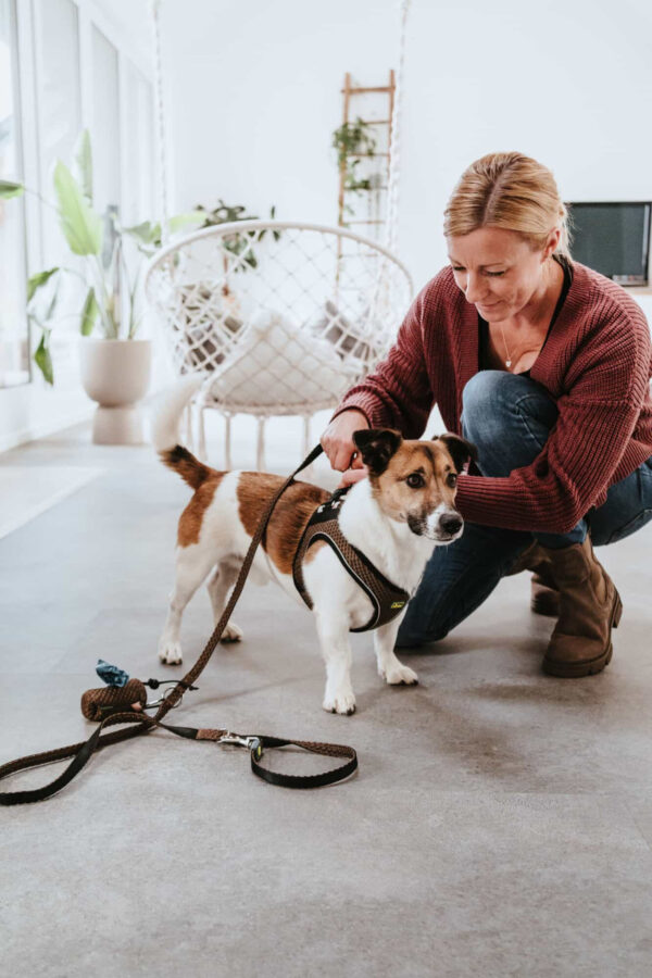 Hondenriem Hilo Bruin