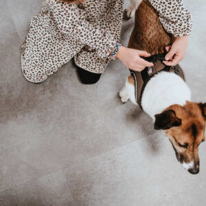 Hondentuig Hilo Bruin