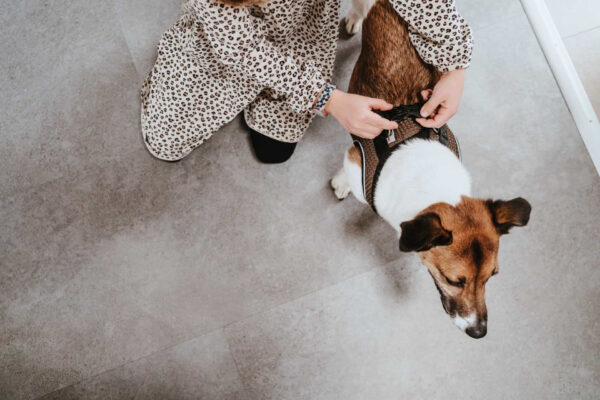 Hondentuig Hilo Bruin