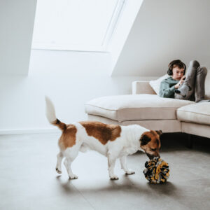 Snuffelbal Hond - 100% Gerecycled Materiaal