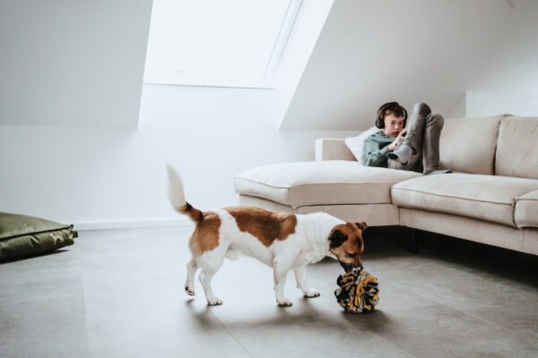 Snuffelbal Hond - 100% Gerecycled Materiaal