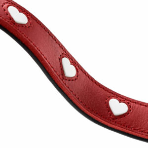 Leren Hondenriem Liefde