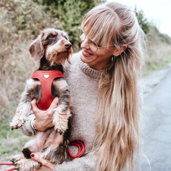 Leren Hondentuigje Liefde