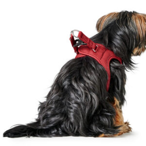 Leren Hondentuigje Liefde