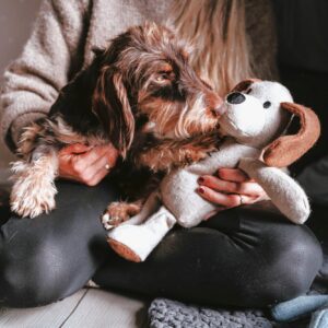 Hondenknuffel Max - 100% Gerecycled Materiaal