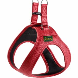 Leren Hondentuigje Liefde