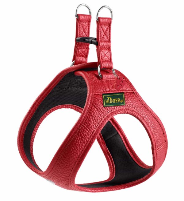 Leren Hondentuigje Liefde