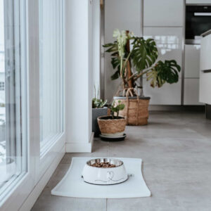 Melamine Voerbak Valencia