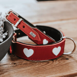 Leren Halsband Hond Liefde