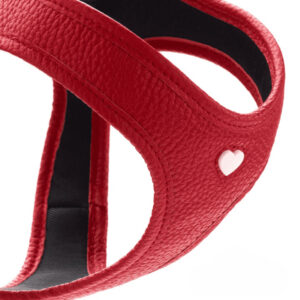 Leren Hondentuigje Liefde