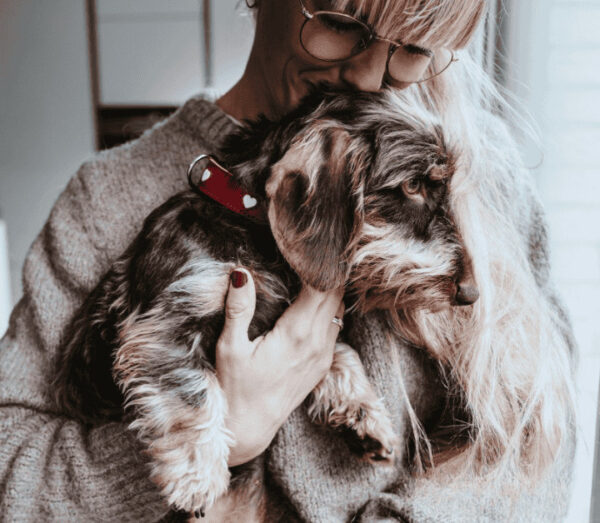 Leren Halsband Hond Liefde