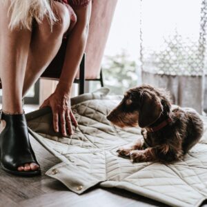 Hondentas & Hondendeken Khaki