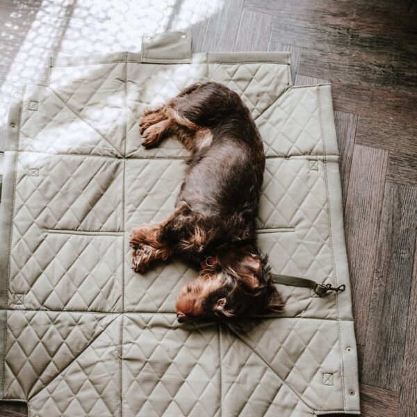 Hondentas & Hondendeken Khaki