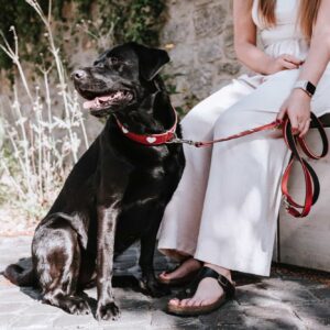 Leren Hondenriem Liefde