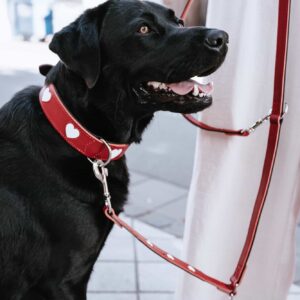 Leren Hondenriem Liefde