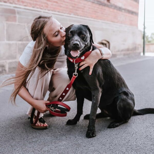 Leren Hondenriem Liefde