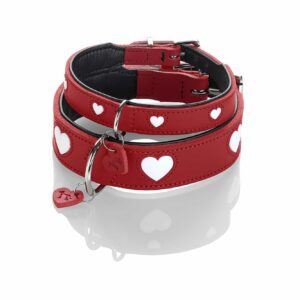 Leren Hondentuigje Liefde