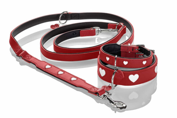 Leren Hondenriem Liefde