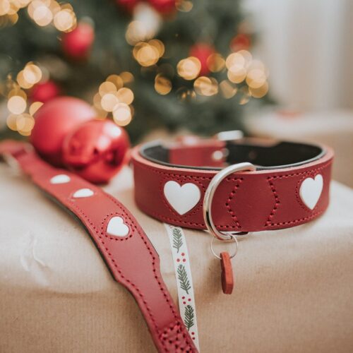 Leren Halsband Hond Liefde