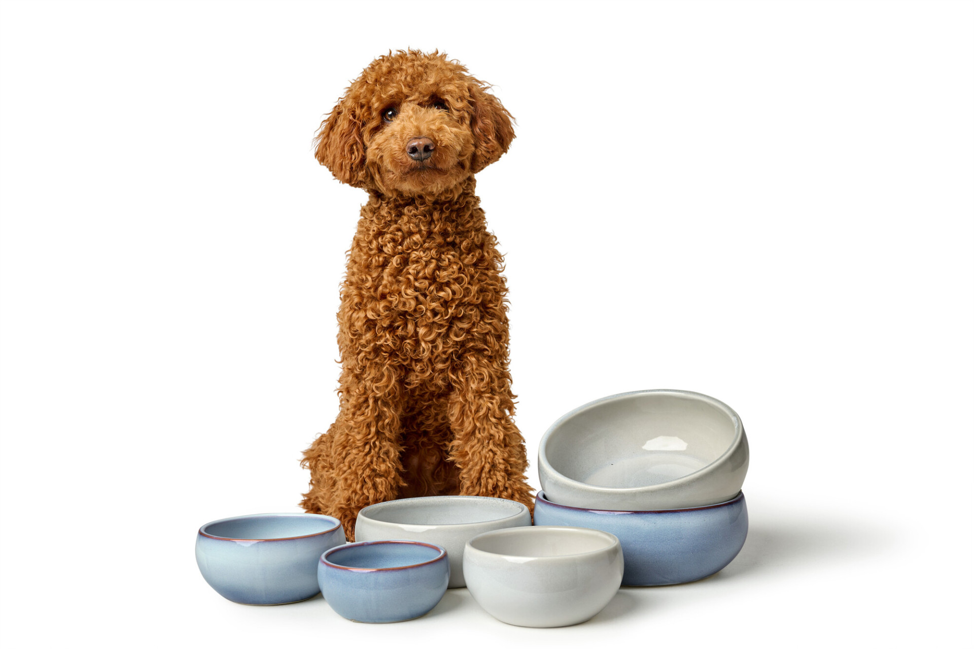 HUNTER 24424 69983 004 image 23 alpha lpr