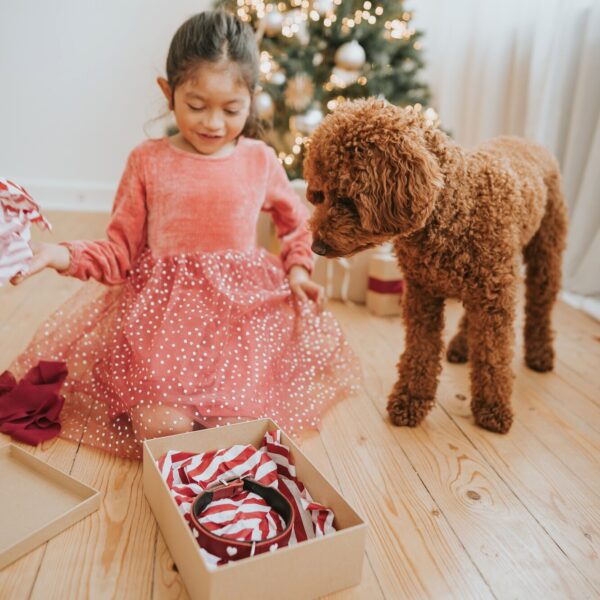 Leren Halsband Hond Liefde