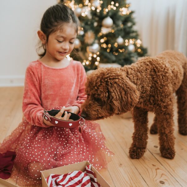 Leren Halsband Hond Liefde