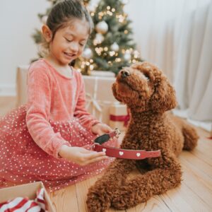 Leren Halsband Hond Liefde