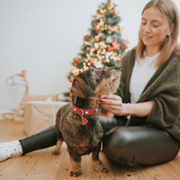 Leren Halsband Hond Liefde