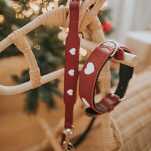 Leren Halsband Hond Liefde