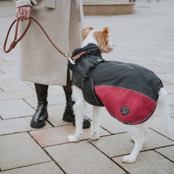 Hondenjas Antraciet/Rood