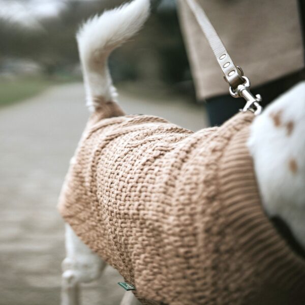 Hondentrui Beige