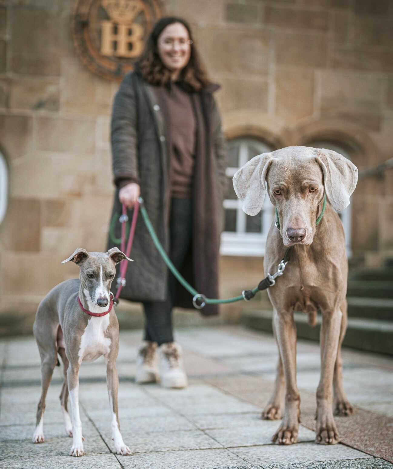 HUNTER 25379 201913 001 live 24 lpr kopie