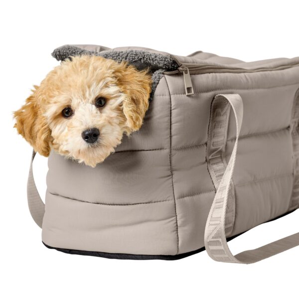 Hondentas & Reisdeken