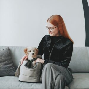 Hondentas & Reisdeken