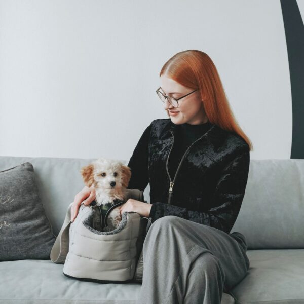 Hondentas & Reisdeken