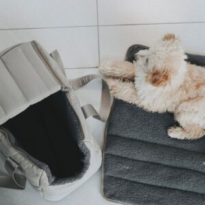 Hondentas & Reisdeken