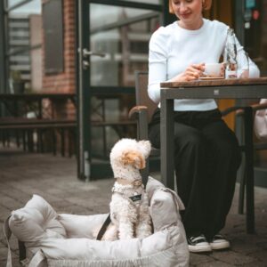 Hondenmand Auto/ Reismand