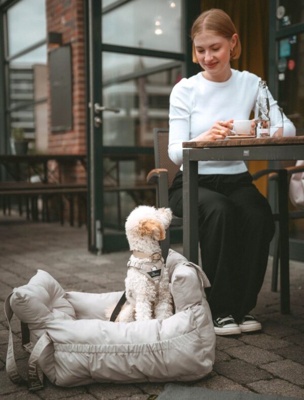 Hondenmand Auto/ Reismand