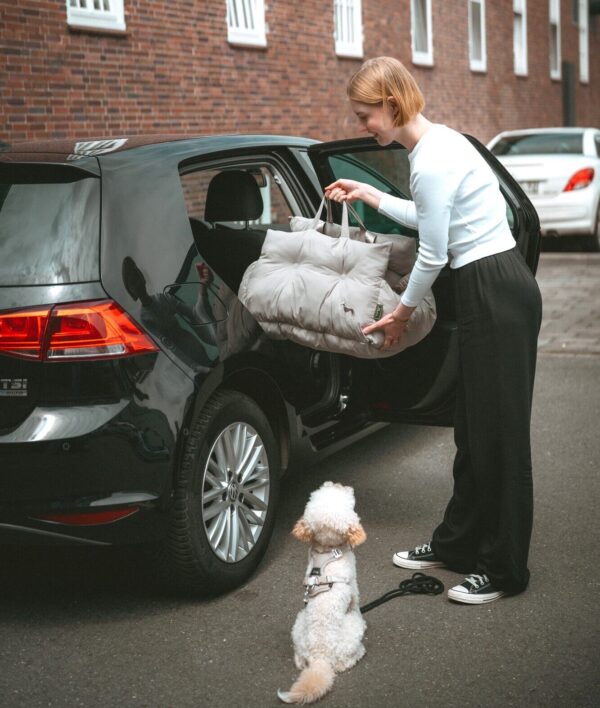 Hondenmand Auto/ Reismand