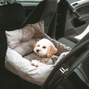 Hondenmand Auto/ Reismand