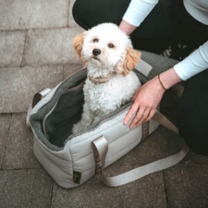 Hondentas & Reisdeken