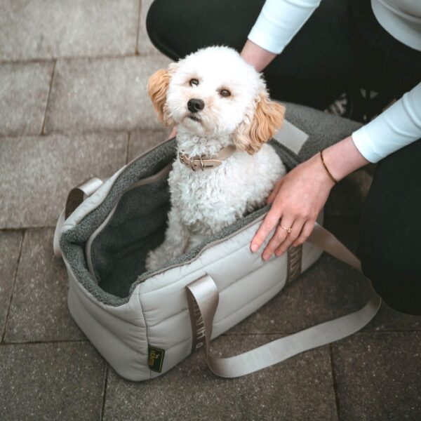 Hondentas & Reisdeken