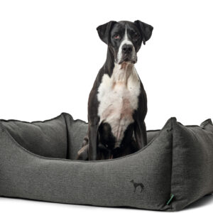 Hondenmand Livingston Antraciet