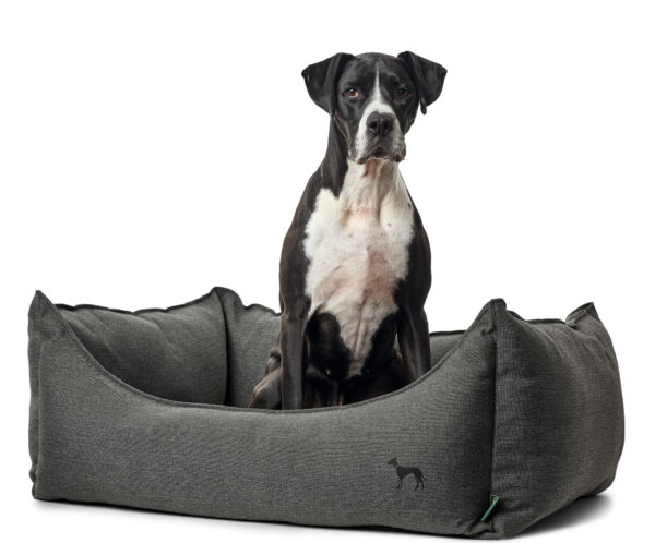 Hondenmand Livingston Antraciet