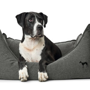 Hondenmand Livingston Antraciet