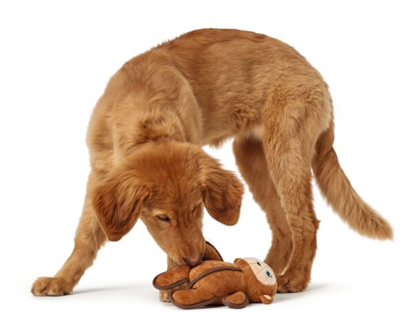 Hondenknuffel Sterke Aap